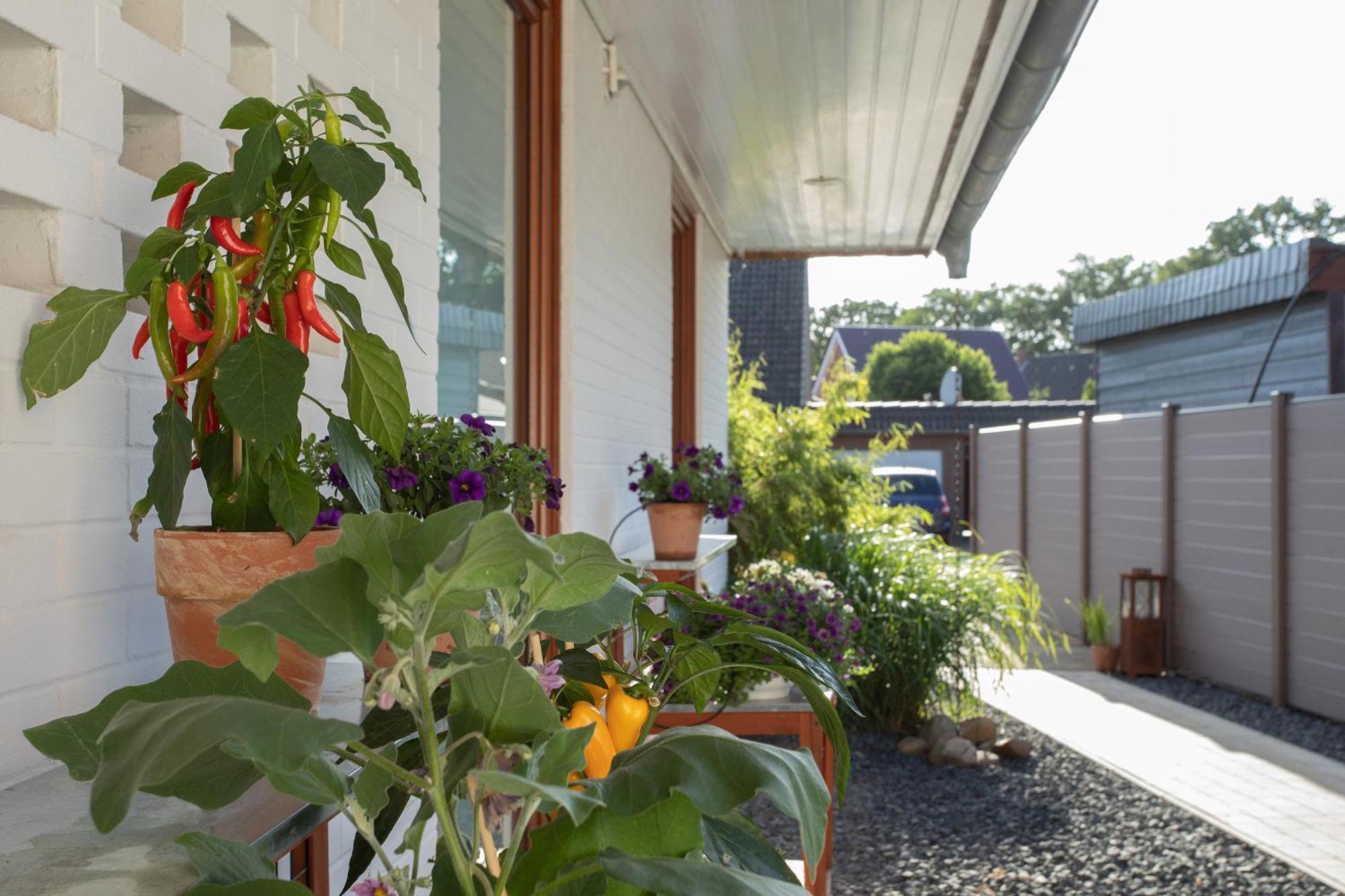 Ferienwohnung Aurora Winsen (Luhe) Exterior foto